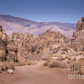 Alabama Hills and Sierra Nevada California by Abigail Diane Photography