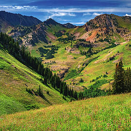 Albion Basin Summer Vista - Alta, Utah by Abbie Matthews