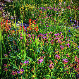 Albion Basin Wildflowers and Devils Castle - Vertical by Abbie Matthews