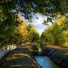 Albuquerque north valley acequia by Howard Holley