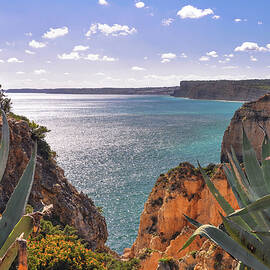 Algarve Afternoon by Rebecca Herranen