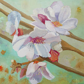 Almond Blossoms by Angeles M Pomata