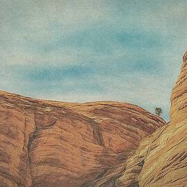 Alone by Jeffrey Kolker