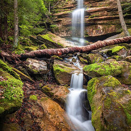 Alpha Falls by Richard DeYoung