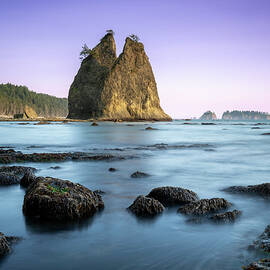 Always At Your Side by Matt Halvorson