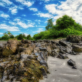 Amazing Clouds by Penny Polakoff