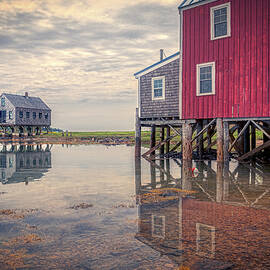 Amazing Reflections  by Penny Polakoff