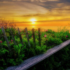 Amazing Sunrise by Penny Polakoff