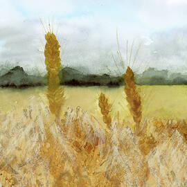 Amber Waves of Grain by Elizabeth Reich