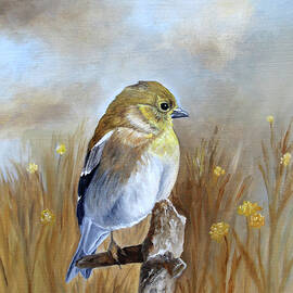 American Goldfinch In The Fall Light by Angeles M Pomata
