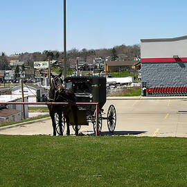 Amish Buggy in Homes Co Ohio #1 by Flees Photos