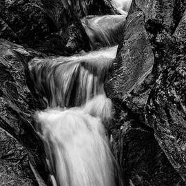 Ammonoosuc Cascade #0713 by Dan Beauvais