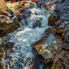 Ammonoosuc Cascade  by Jeff Sinon