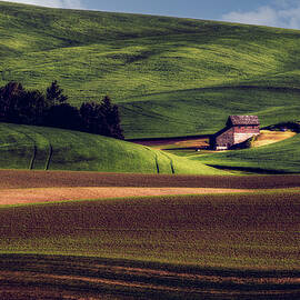 Among the Emerald Fields by Kevin Schwalbe