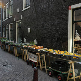 Amsterdam Alley Early Morning by Mary Lee Dereske