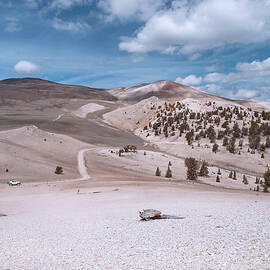 Ancient Bristlecone Pine Highway by Joe Schofield