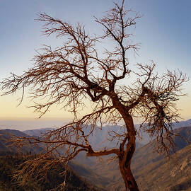Angeles Crest Highway 6 by Cindy Robinson