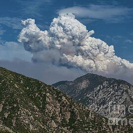  Angeles National Forest, California by Abigail Diane Photography
