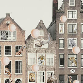 Animals in Amsterdam by Julia July