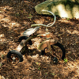 Anitque tricycle  by Flees Photos