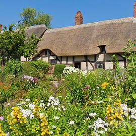Anne Hathaway's English thatched cottage, Stratford upon Avon, England by Neale And Judith Clark