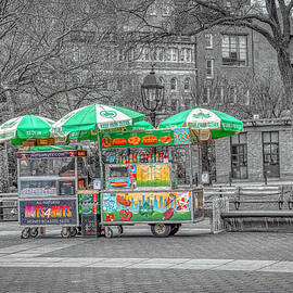 Another Street Vendor by Penny Polakoff