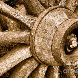 Antique Wagon Wheel - Sepia by Olivier Le Queinec