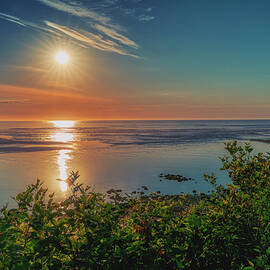 Anything is Possible by Penny Polakoff