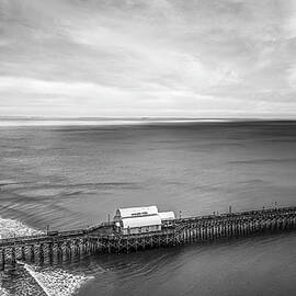 Apache Pier South Carolina BW by Susan Candelario