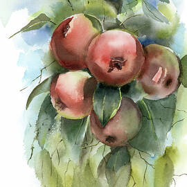 Apples  btanch by Olga Tchefranov