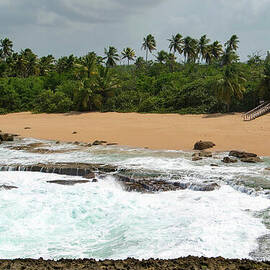 Arecibo Beach with Palm Trees by Beachtown Views