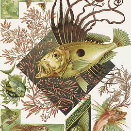 Art nouveau motifs and design elements by Anton Seder - Fantastic fishes by Anton Seder