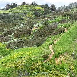 Ascending the Red Tail Trail in Early Spring by Joe Schofield