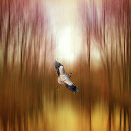 Ascension  by Jessica Jenney