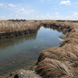 Ash Creek by Amanda R Wright