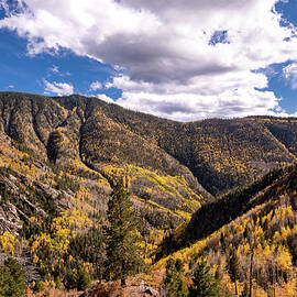 Aspen Canyon by Matt Halvorson