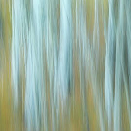 Aspen Dreams by Maryanne Keeling