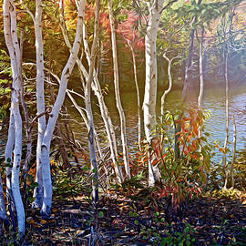 Aspen trees in the fall by Tatiana Travelways