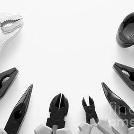 Assorted Pliers Tools Collection  by Olivier Le Queinec
