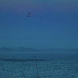 At Anker Capitola California by Tommy Farnsworth