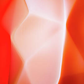 Athletics by Ursula Abresch