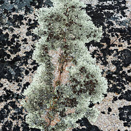 Atlantic Canada Coastline by Shankar Adiseshan