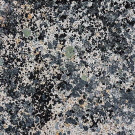 Atlantic Coast Abstract by Shankar Adiseshan