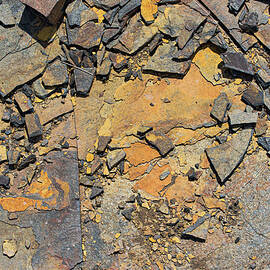 Atlantic Coastal Textures by Shankar Adiseshan