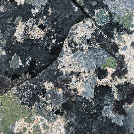 Atlantic Coastline by Shankar Adiseshan