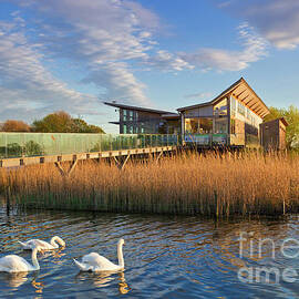Attenborough Nature Centre at Attenborough nature reserve, Nottingham, England by Neale And Judith Clark