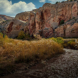 August 2024 Colorado River by Alain Zarinelli