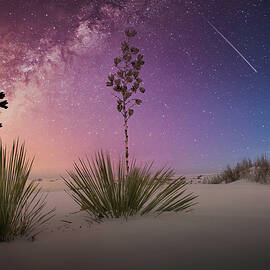 August 2025 White Sands Galactic Center by Alain Zarinelli