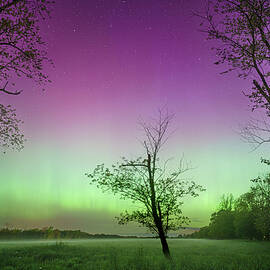 Aurora Borealis by Dave King