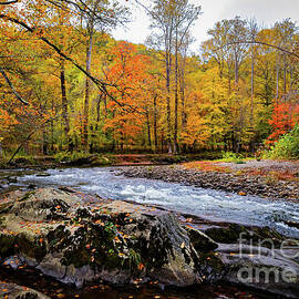 Autumn along the Ocanaluftee River 3 by Ron Long Ltd Photography